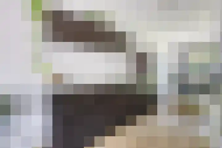 Ree 37 Veldhoven thumbnail 15