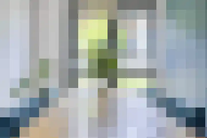 Ree 37 Veldhoven thumbnail 17