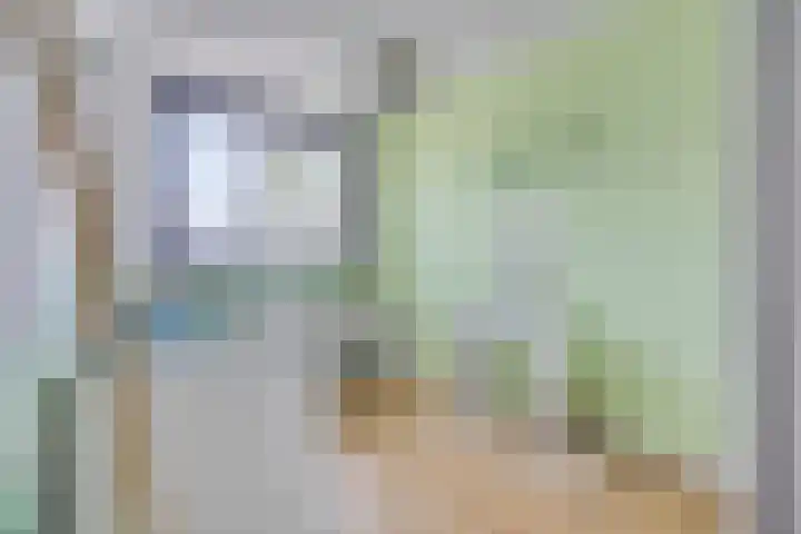 Ree 37 Veldhoven thumbnail 22