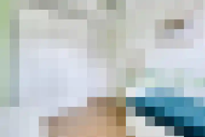 Ree 37 Veldhoven thumbnail 23