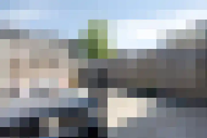 Ree 37 Veldhoven thumbnail 32