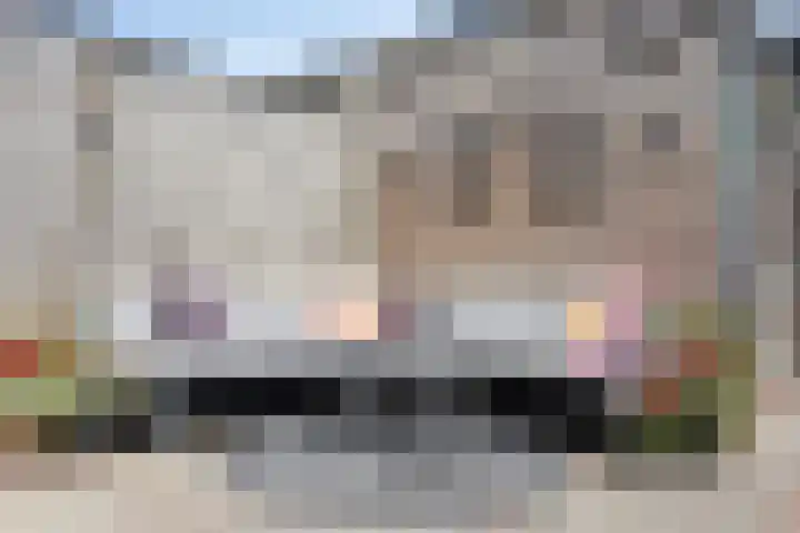 Ree 37 Veldhoven thumbnail 33