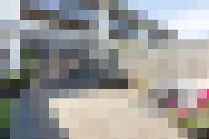 Ree 37 Veldhoven thumbnail 35