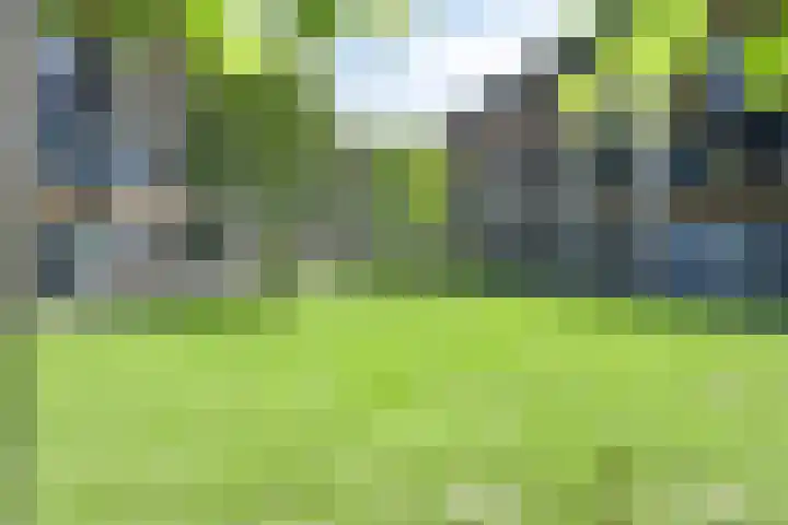 Ree 37 Veldhoven thumbnail 37