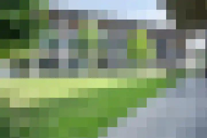 Ree 37 Veldhoven thumbnail 38