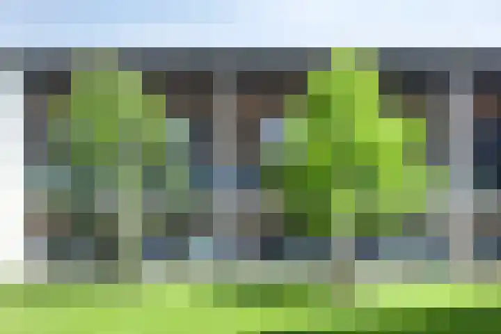 Ree 37 Veldhoven thumbnail 39