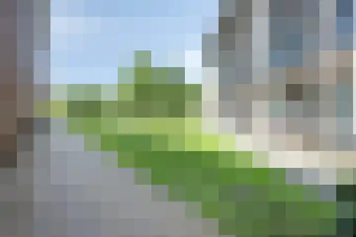 Ree 37 Veldhoven thumbnail 40