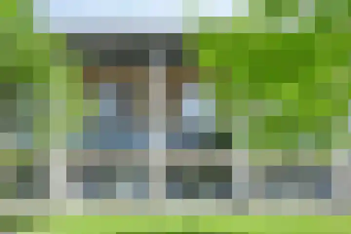 Ree 37 Veldhoven thumbnail 5