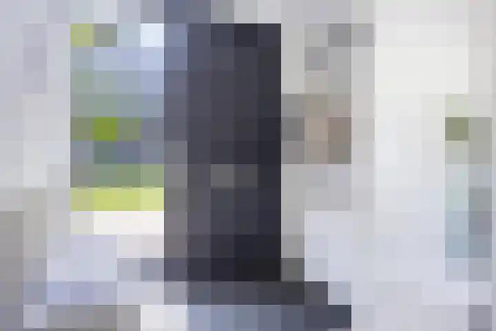 Ree 37 Veldhoven thumbnail 7