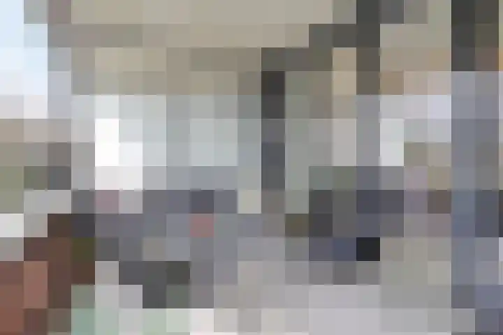 Ree 38 Veldhoven thumbnail 12