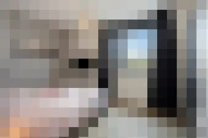 Ree 38 Veldhoven thumbnail 15