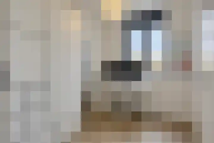 Ree 38 Veldhoven thumbnail 19