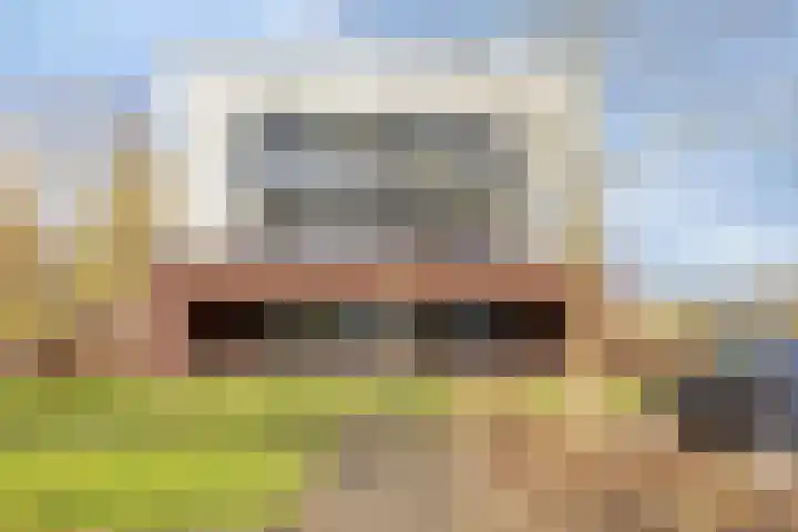 Ree 38 Veldhoven thumbnail 25