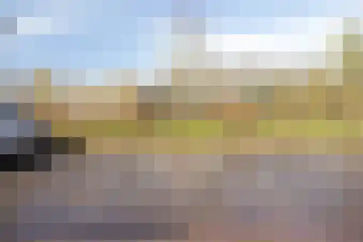Ree 38 Veldhoven thumbnail 27