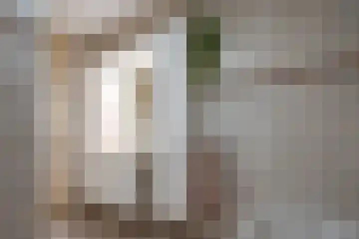 Ree 38 Veldhoven thumbnail 4