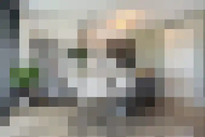 Ree 38 Veldhoven thumbnail 5