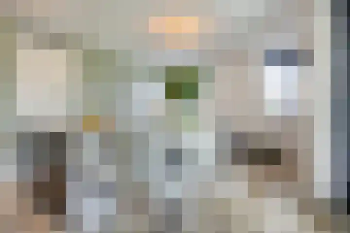 Ree 38 Veldhoven thumbnail 6