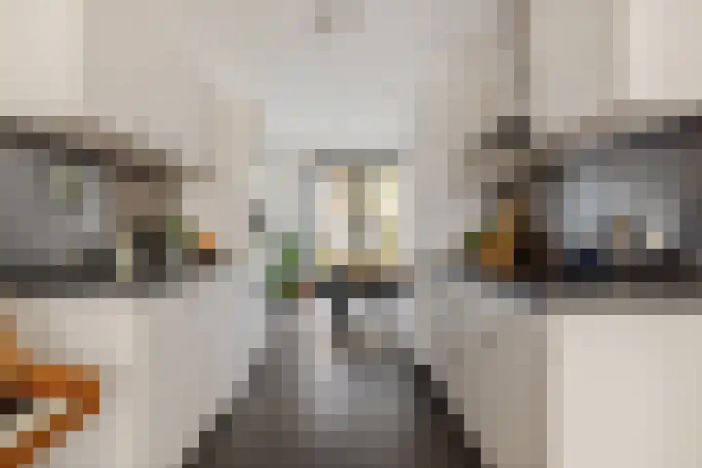 Ree 39 Veldhoven thumbnail 19