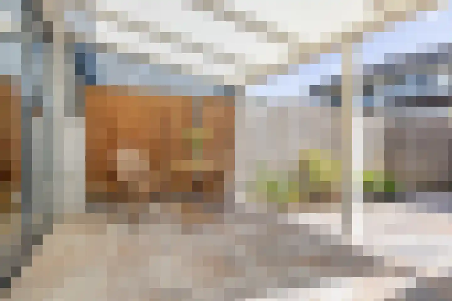 Ree 39 Veldhoven thumbnail 25