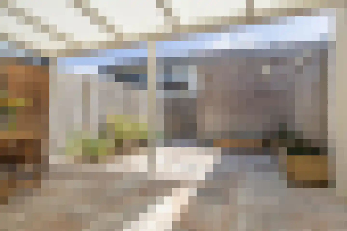 Ree 39 Veldhoven thumbnail 26