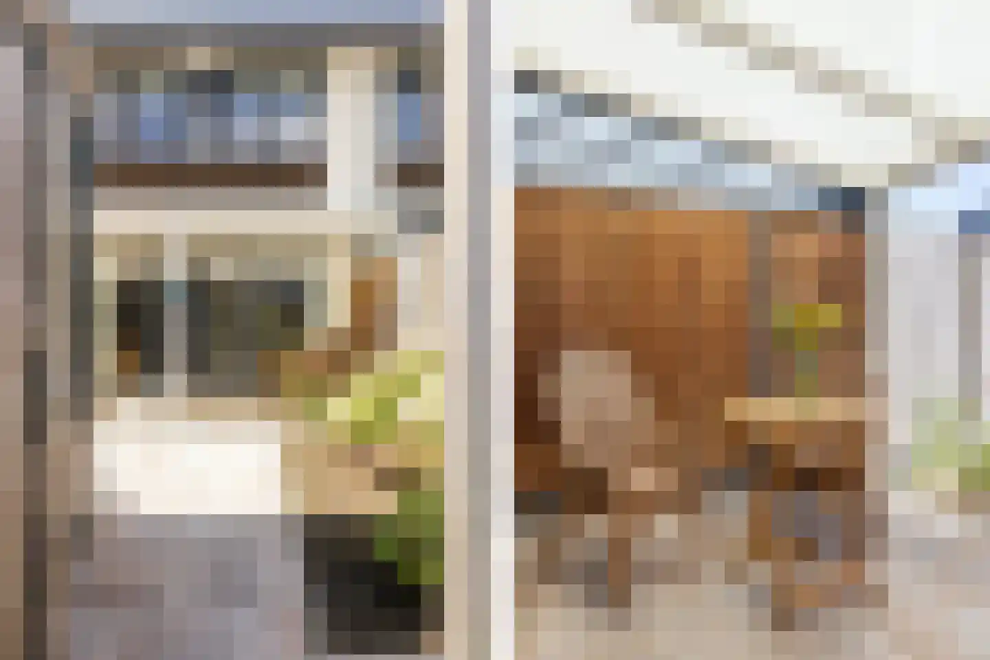Ree 39 Veldhoven thumbnail 27
