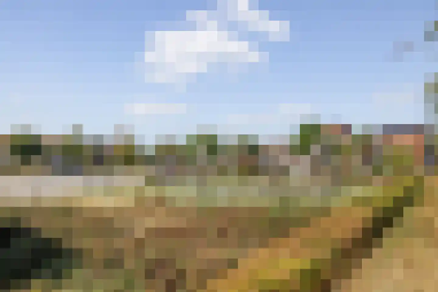 Ree 39 Veldhoven thumbnail 56
