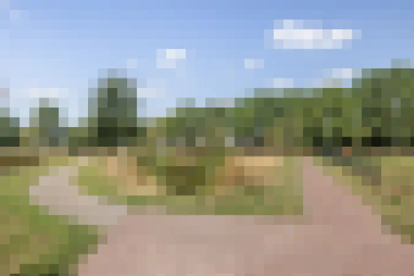 Ree 39 Veldhoven thumbnail 58