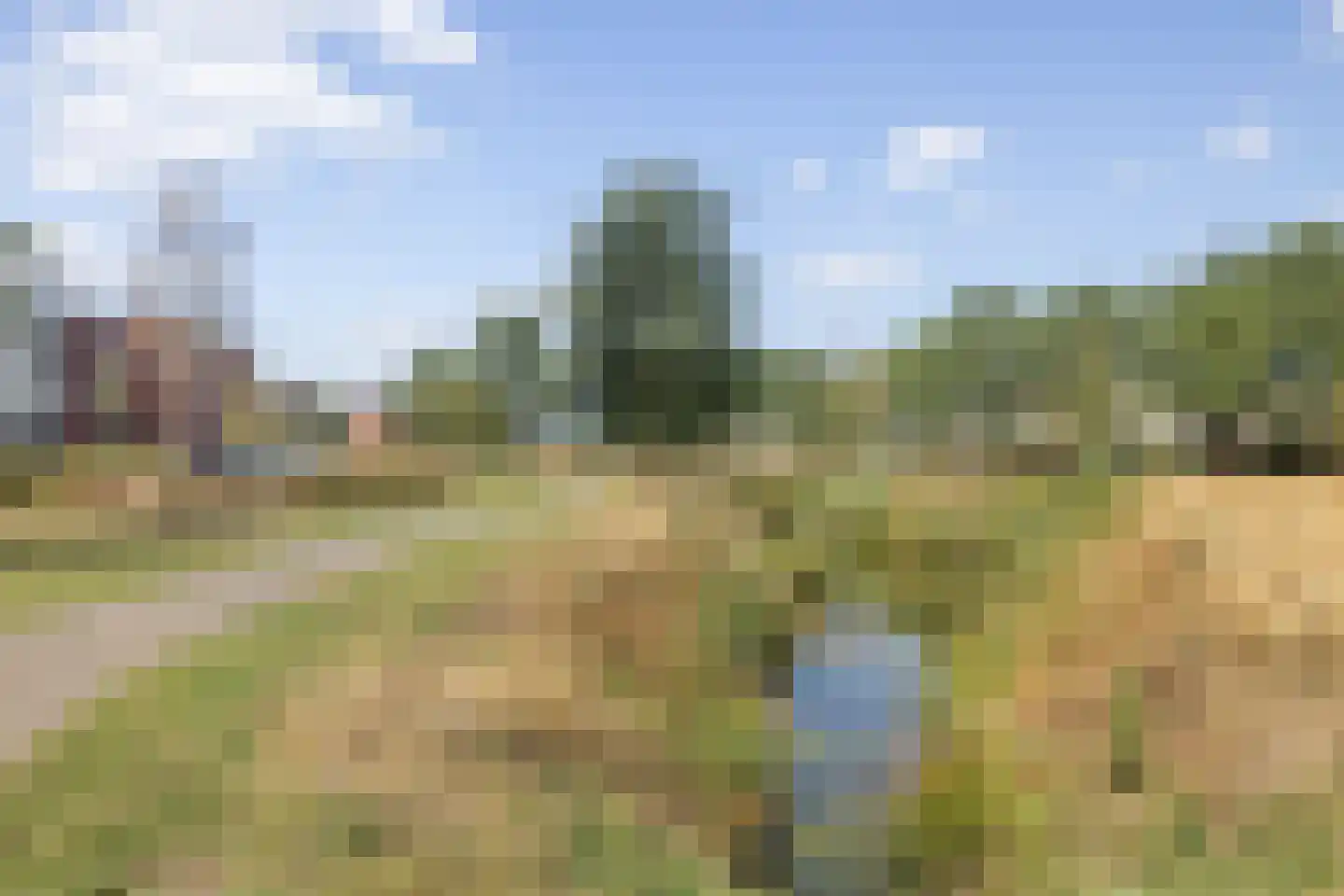 Ree 39 Veldhoven thumbnail 59