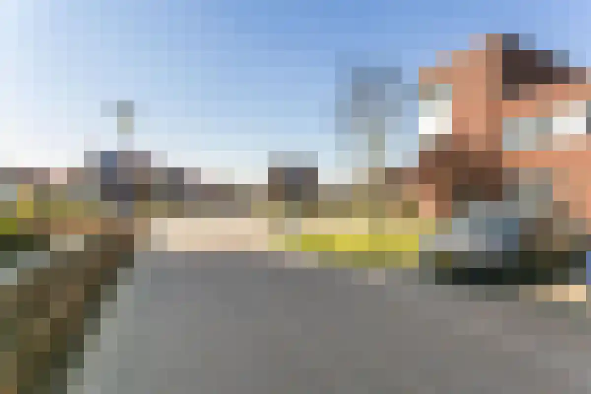Ree 4 Veldhoven thumbnail 4