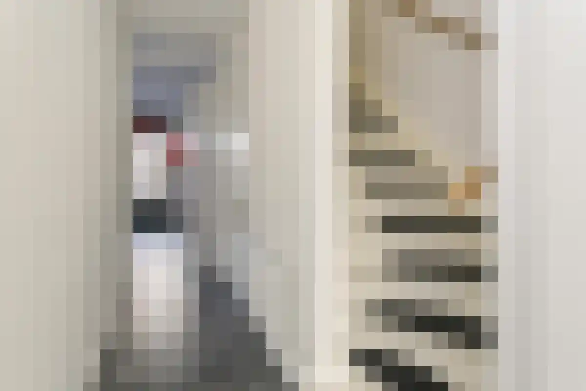 Ree 4 Veldhoven thumbnail 5