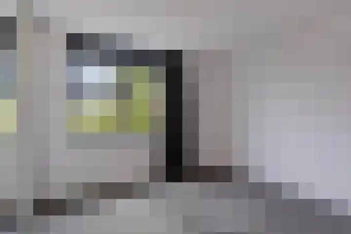 Ree 48 Veldhoven thumbnail 15