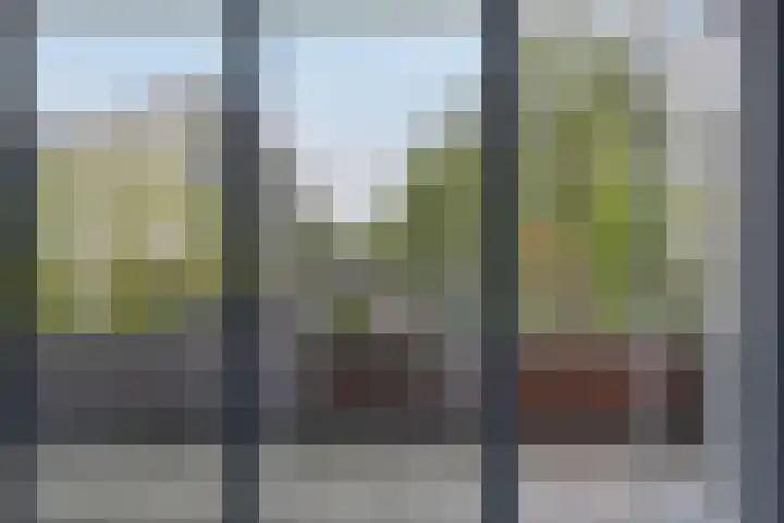 Ree 48 Veldhoven thumbnail 19