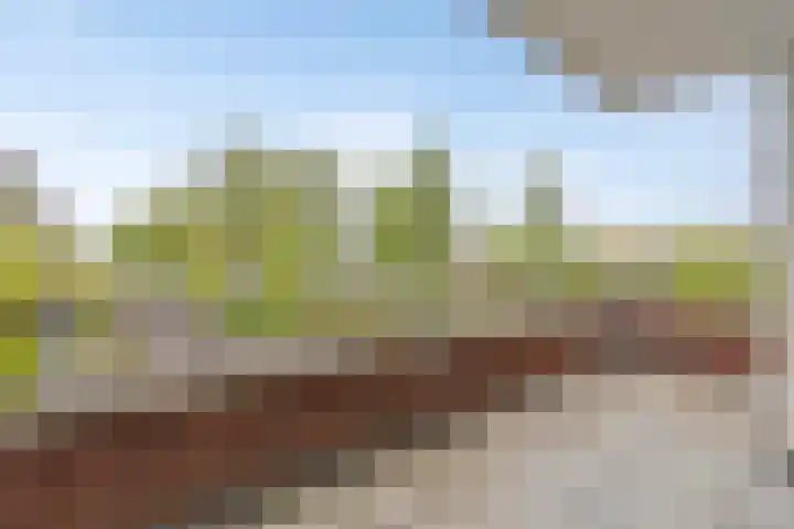 Ree 48 Veldhoven thumbnail 20