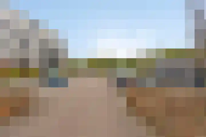 Ree 48 Veldhoven thumbnail 21