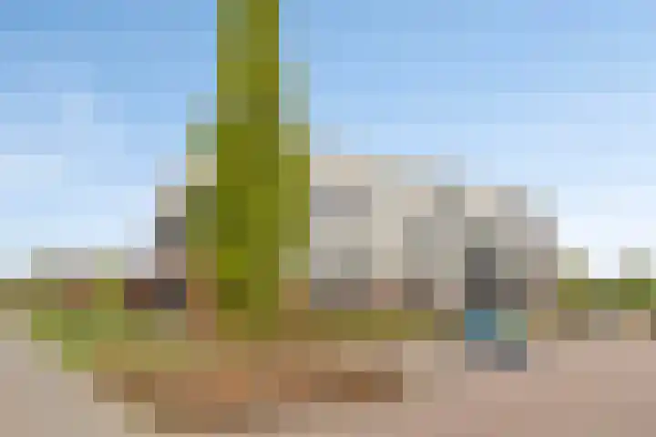 Ree 48 Veldhoven thumbnail 26