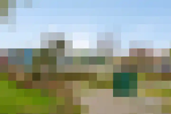 Ree 48 Veldhoven thumbnail 27