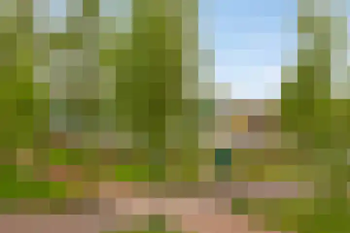 Ree 48 Veldhoven thumbnail 28
