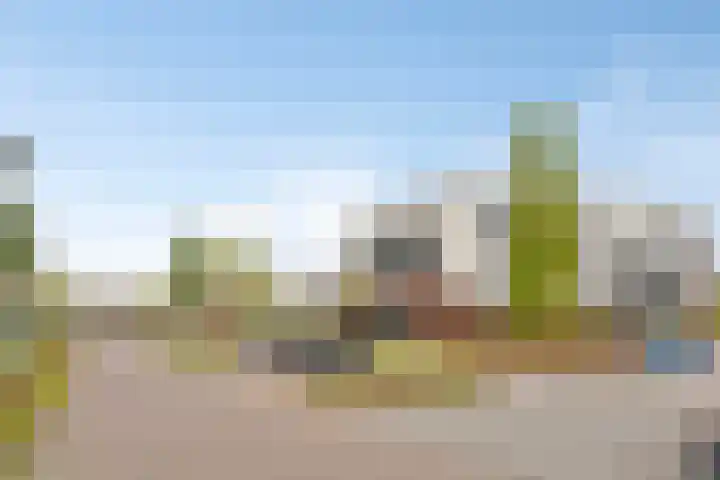 Ree 48 Veldhoven thumbnail 29