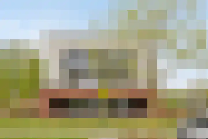 Ree 48 Veldhoven thumbnail 30