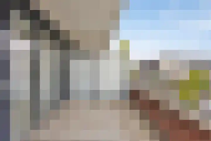 Ree 48 Veldhoven thumbnail 5