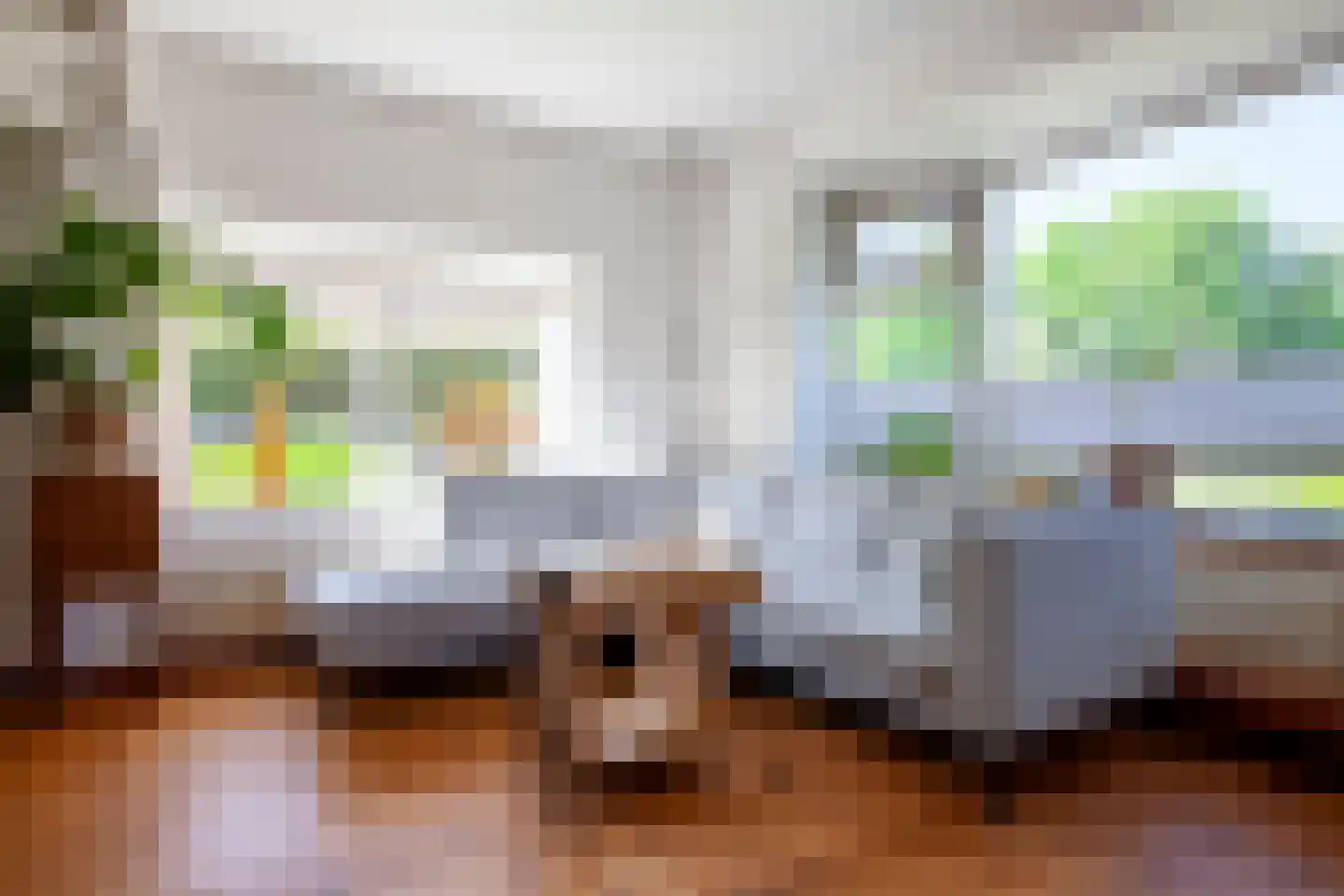 Ree 54 Reeuwijk thumbnail 24