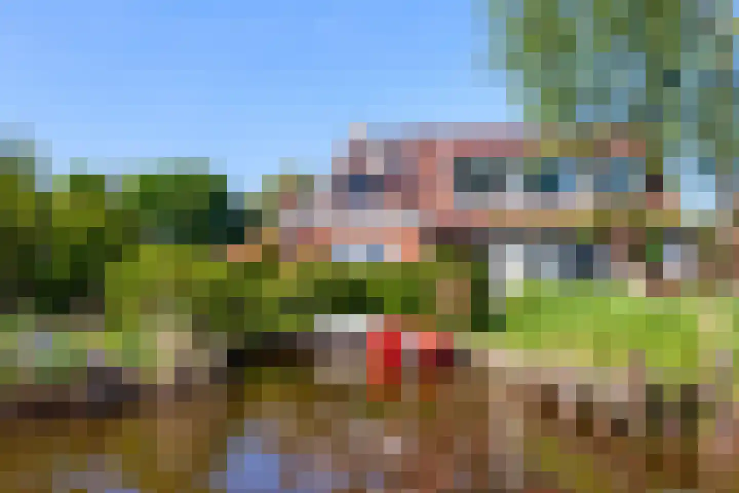 Ree 54 Reeuwijk thumbnail 39