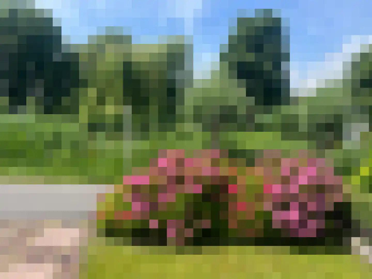 Ree 54 Reeuwijk thumbnail 7
