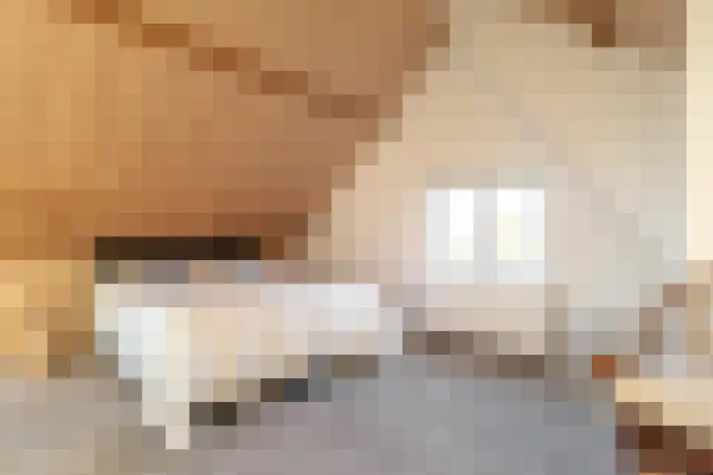 Ree 62 Reeuwijk thumbnail 24