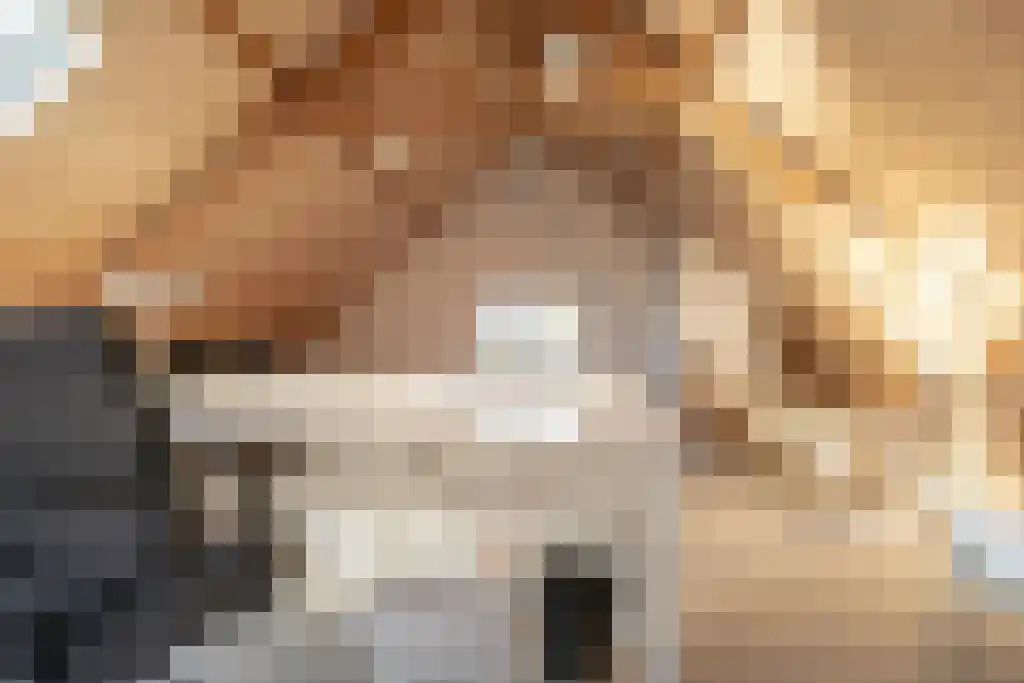 Ree 62 Reeuwijk thumbnail 26