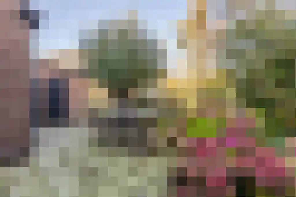 Ree 62 Reeuwijk thumbnail 30