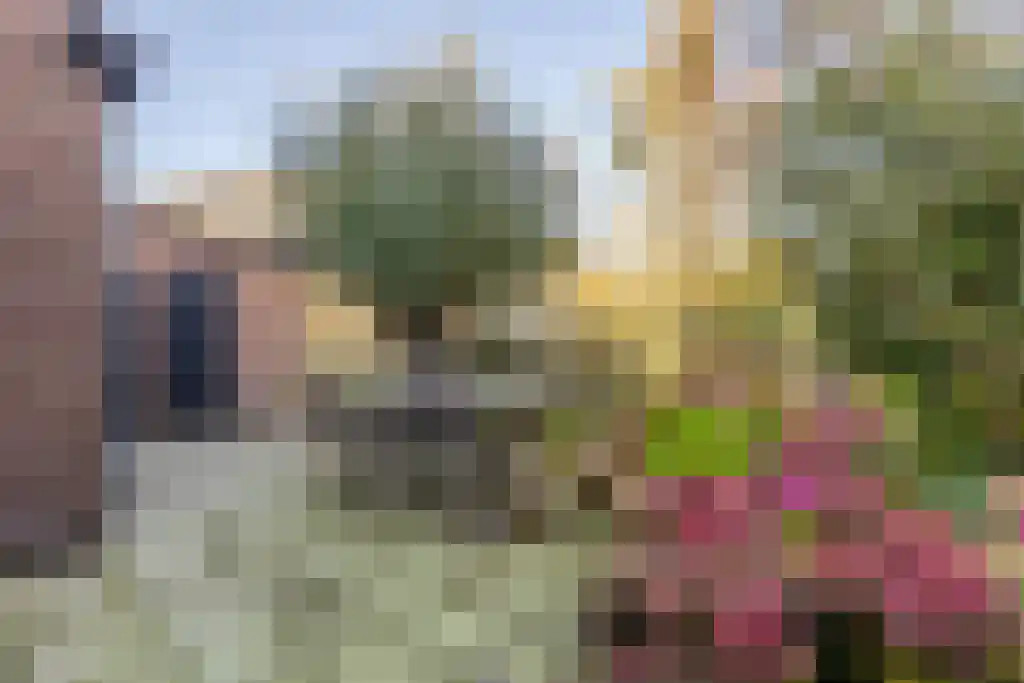 Ree 62 Reeuwijk thumbnail 31