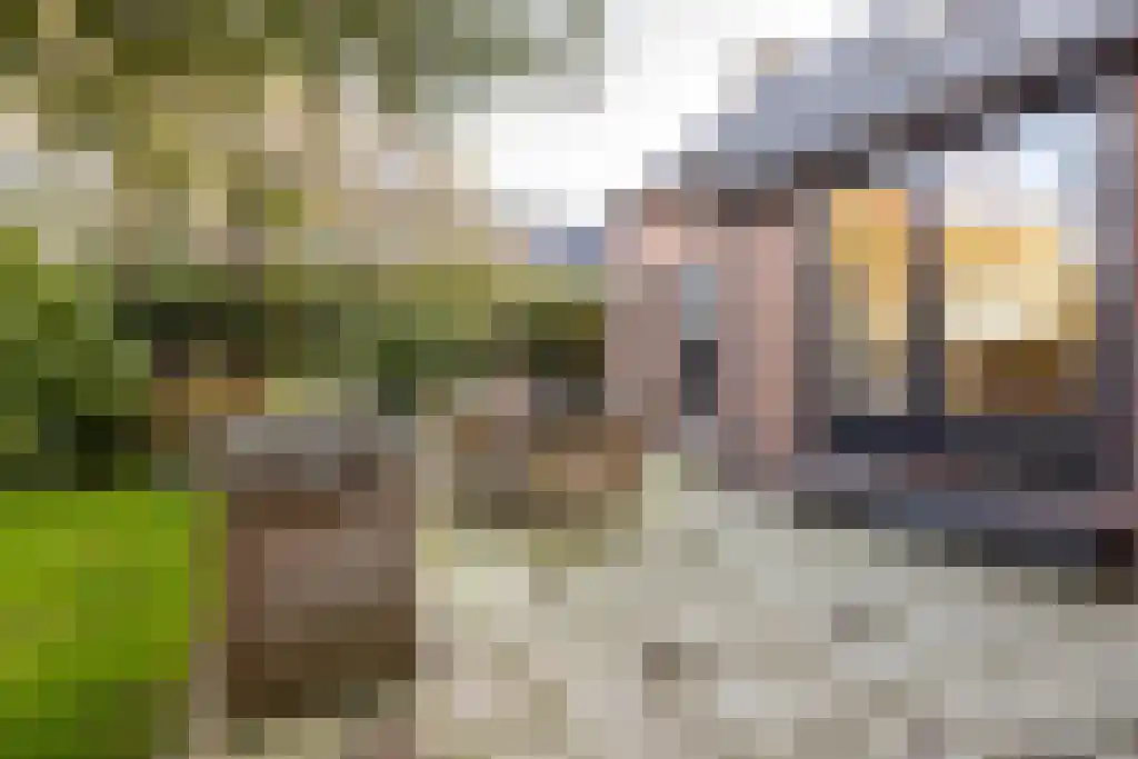 Ree 62 Reeuwijk thumbnail 31