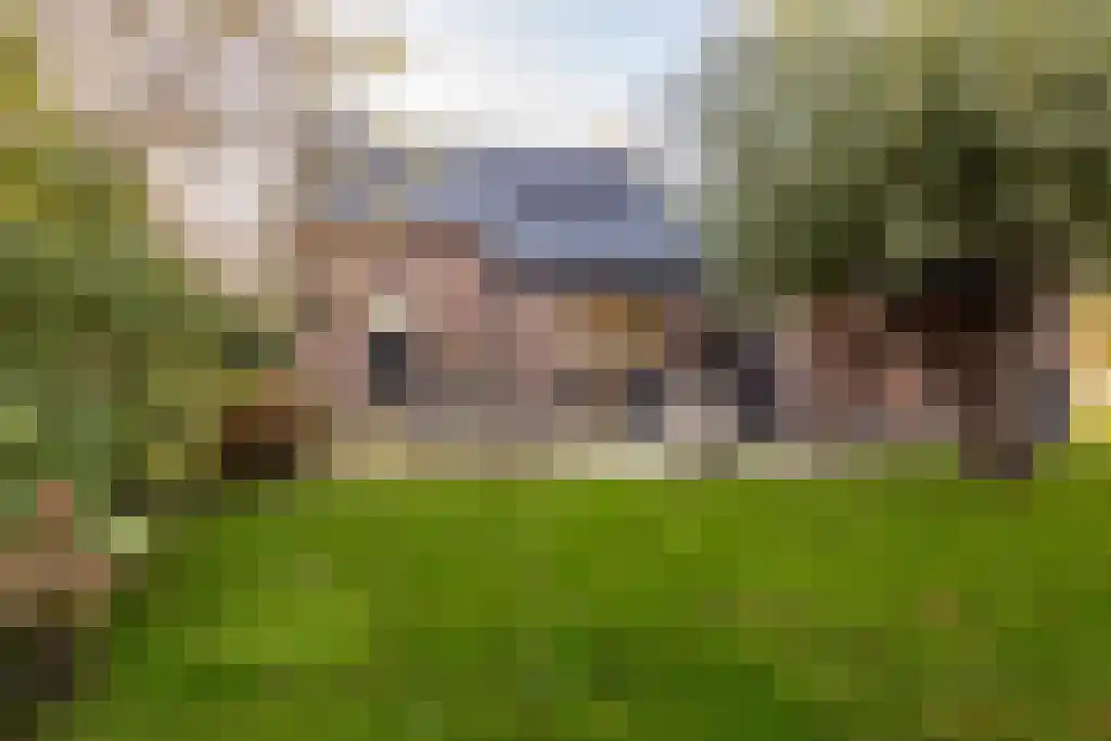 Ree 62 Reeuwijk thumbnail 34