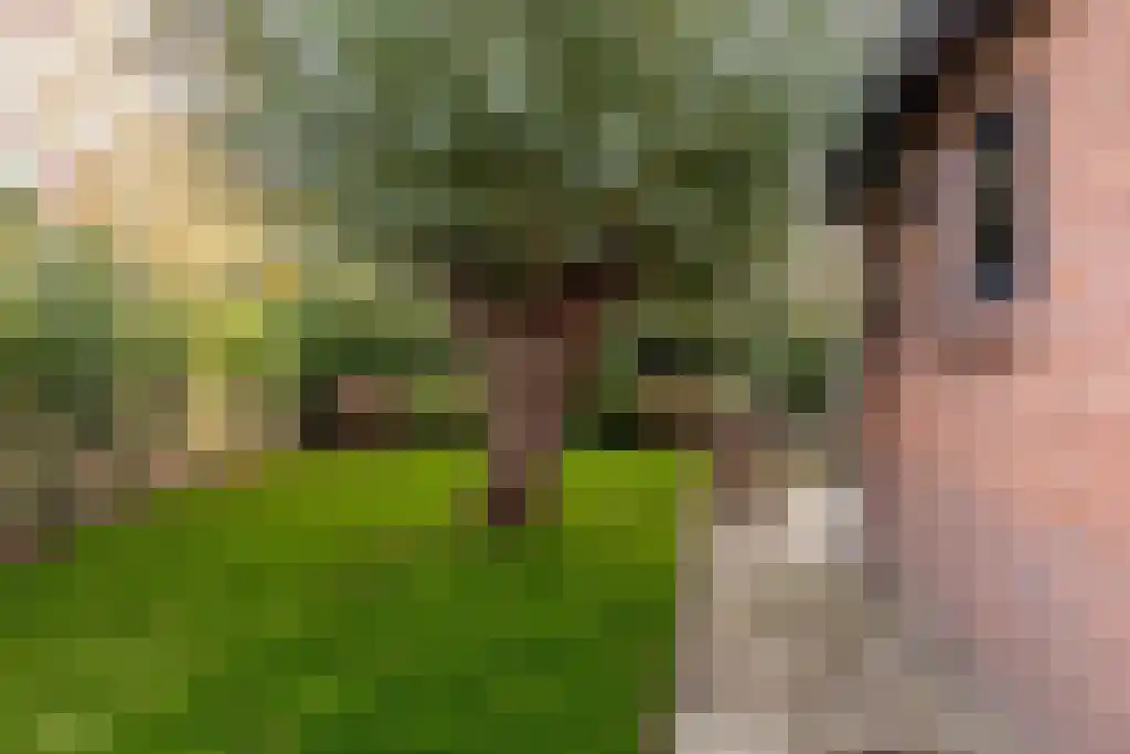 Ree 62 Reeuwijk thumbnail 35